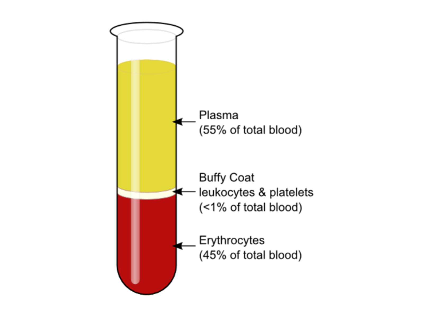 plasma